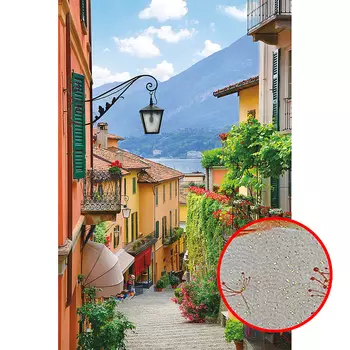 Фреска Ortograf