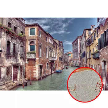 Фреска Ortograf