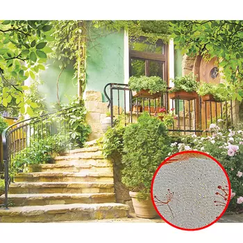 Фреска Ortograf