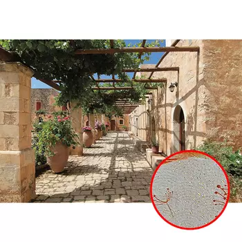 Фреска Ortograf