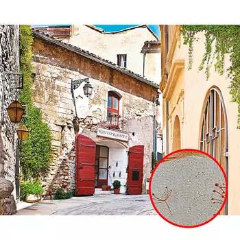 Фреска Ortograf