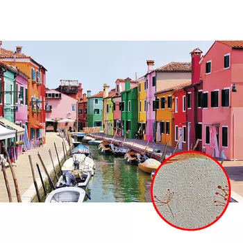 Фреска Ortograf