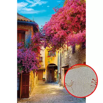 Фреска Ortograf