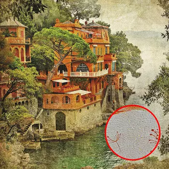 Фреска Ortograf