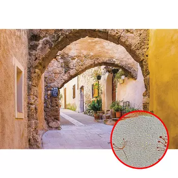 Фреска Ortograf