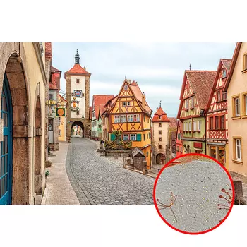 Фреска Ortograf