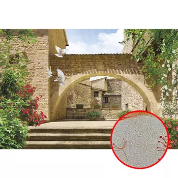 Фреска Ortograf