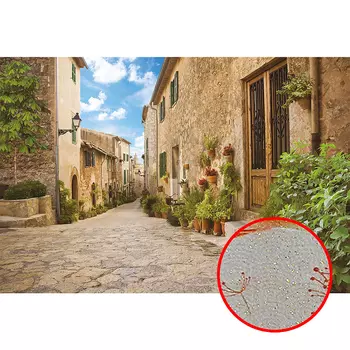 Фреска Ortograf