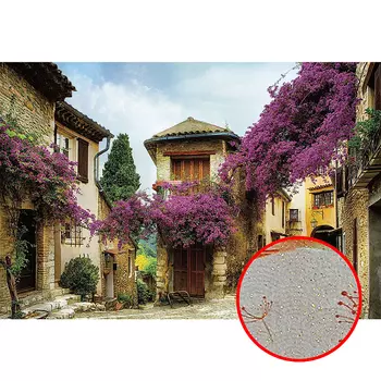 Фреска Ortograf