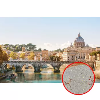 Фреска Ortograf