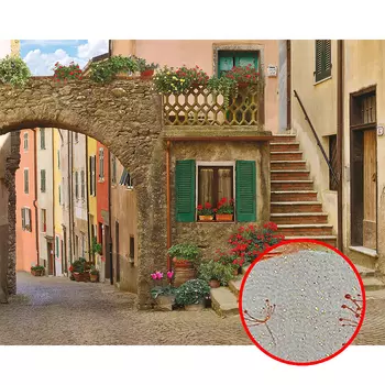 Фреска Ortograf