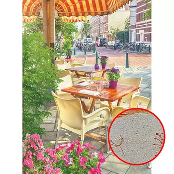 Фреска Ortograf