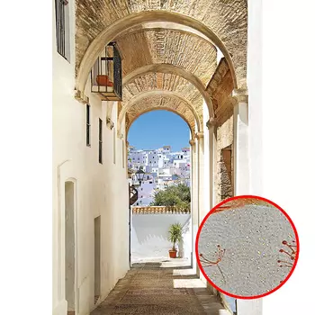 Фреска Ortograf