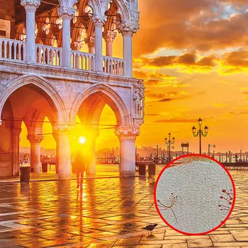 Фреска Ortograf