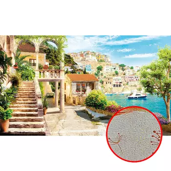 Фреска Ortograf