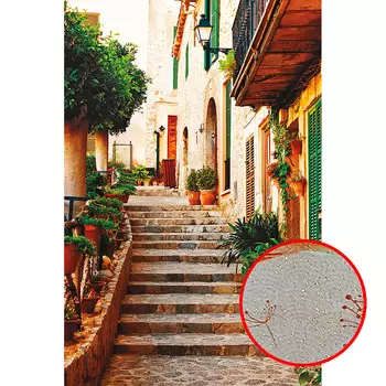 Фреска Ortograf