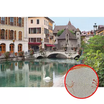 Фреска Ortograf