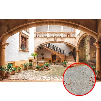 Фреска Ortograf