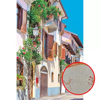 Фреска Ortograf