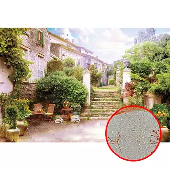 Фреска Ortograf