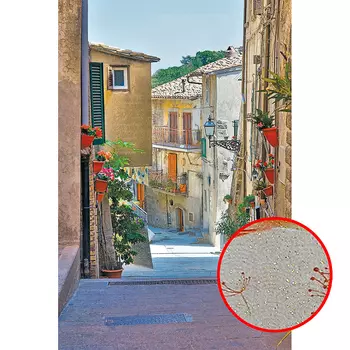 Фреска Ortograf