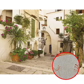 Фреска Ortograf