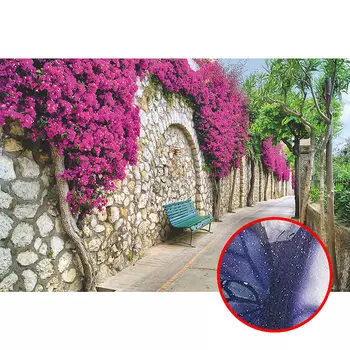 Фреска Ortograf