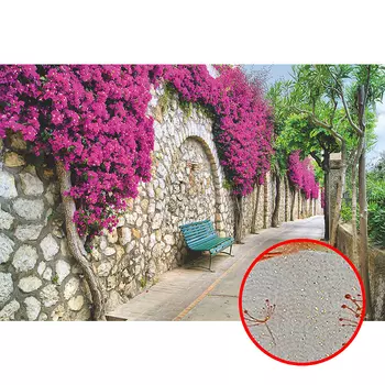 Фреска Ortograf