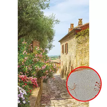 Фреска Ortograf