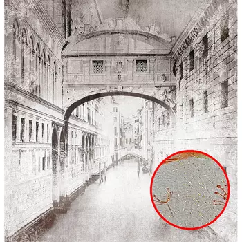 Фреска Ortograf