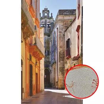 Фреска Ortograf