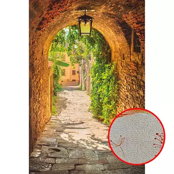 Фреска Ortograf