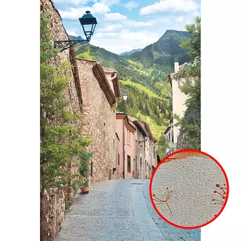 Фреска Ortograf