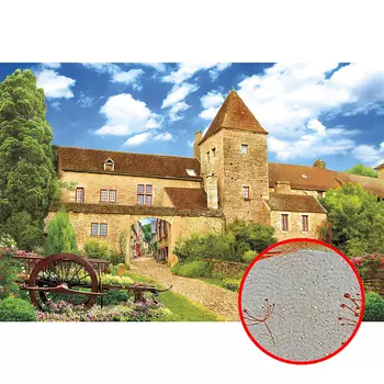 Фреска Ortograf