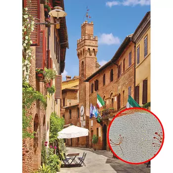 Фреска Ortograf