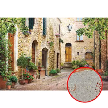 Фреска Ortograf