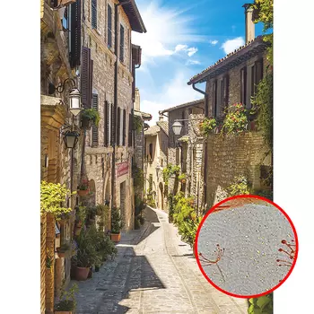 Фреска Ortograf