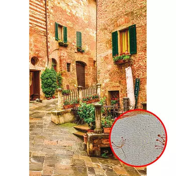 Фреска Ortograf