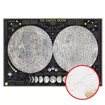 Фреска Ortograf