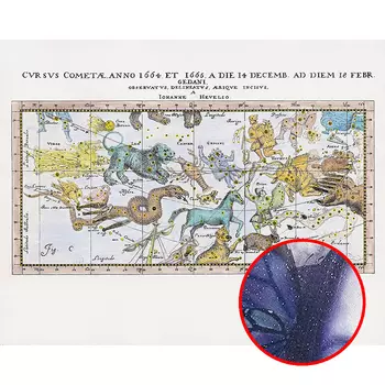 Фреска Ortograf