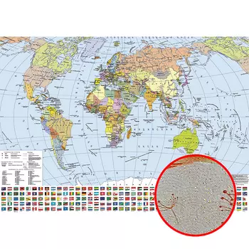 Фреска Ortograf