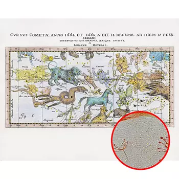 Фреска Ortograf