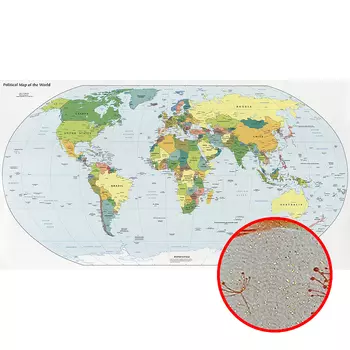 Фреска Ortograf