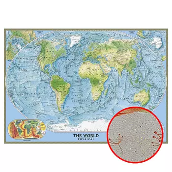 Фреска Ortograf