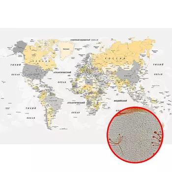 Фреска Ortograf