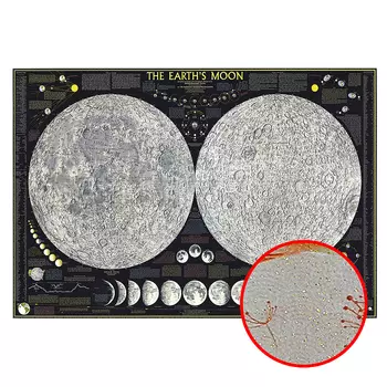 Фреска Ortograf