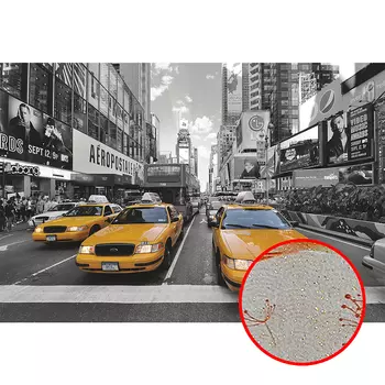 Фреска Ortograf