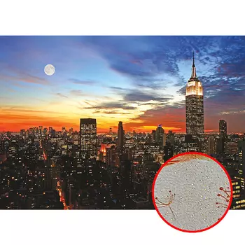 Фреска Ortograf