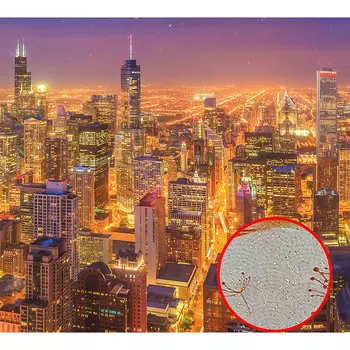 Фреска Ortograf