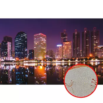 Фреска Ortograf